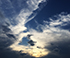 sky1
