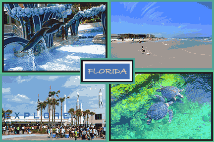 Florida Postcard
