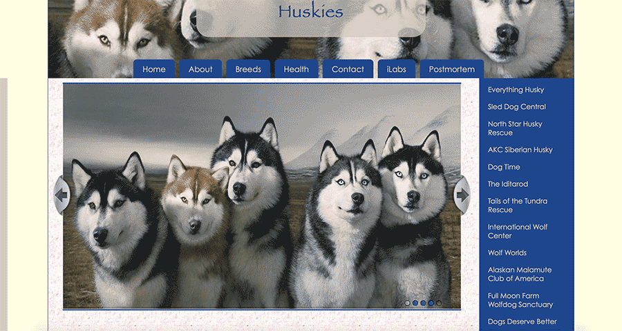 Huskies Website