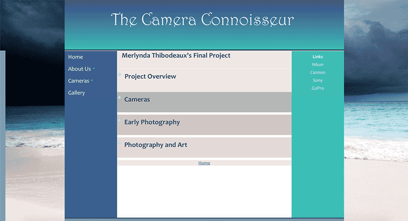 The Camera Connoisseur